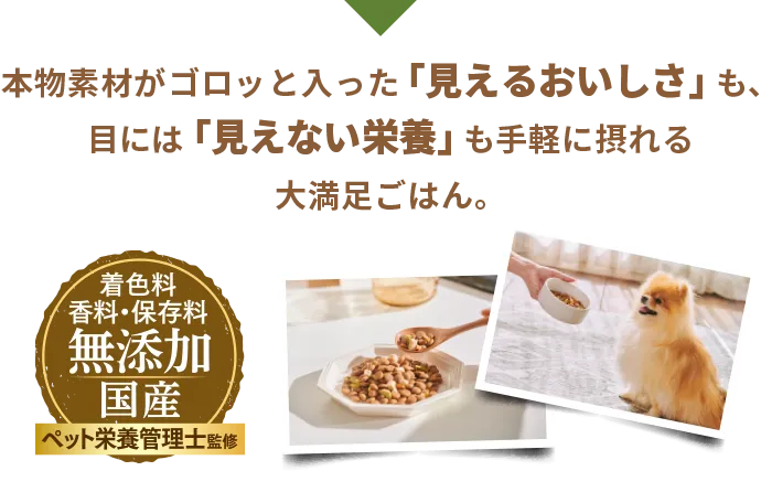 本物素材がゴロッと入った「見えるおいしさ」も、目には「見えない栄養」も手軽に摂れる大満足ごはん。